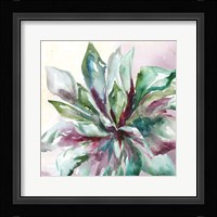 Succulent Watercolor II Fine Art Print