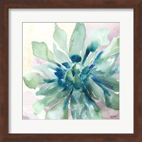 Succulent Watercolor III Fine Art Print