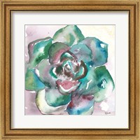 Succulent Watercolor IV Fine Art Print