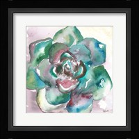 Succulent Watercolor IV Fine Art Print