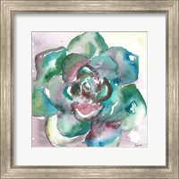 Succulent Watercolor IV Fine Art Print