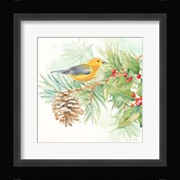 Winter Birds I Warbler Framed Print