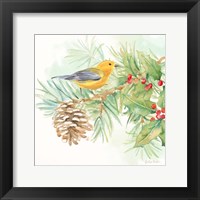 Winter Birds I Warbler Framed Print