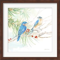 Winter Birds III Bluebirds Fine Art Print