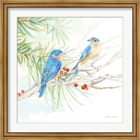 Winter Birds III Bluebirds Fine Art Print