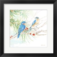 Winter Birds III Bluebirds Framed Print
