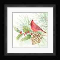 Winter Birds IV Cardinal Framed Print