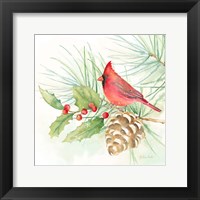 Winter Birds IV Cardinal Framed Print