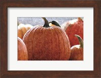 Fall Pumpkin Fine Art Print