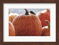 Fall Pumpkin Fine Art Print