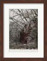 Sheltered Fine Art Print