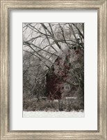 Sheltered Fine Art Print