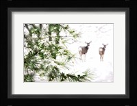 Winter's Dream Fine Art Print
