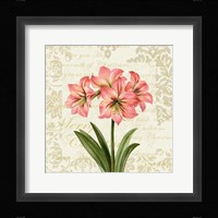 Botanical Christmas Cream IV Framed Print