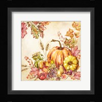 Watercolor Harvest Pumpkins II Framed Print