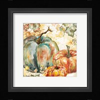 Watercolor Harvest Teal and Orange Pumpkins I Framed Print