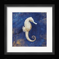 Treasures from the Sea Indigo I Framed Print