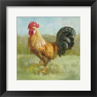 Noble Rooster II Fine Art Print