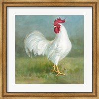Noble Rooster I Fine Art Print