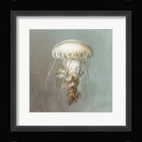Treasures from the Sea VI Framed Print