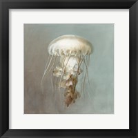 Treasures from the Sea VI Framed Print