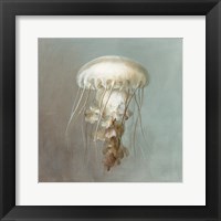 Treasures from the Sea VI Framed Print