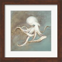 Treasures from the Sea V Fine Art Print