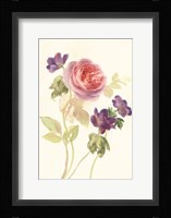 Watercolor Flowers IV Framed Print