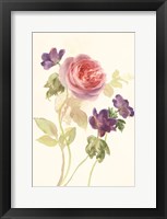 Watercolor Flowers IV Framed Print