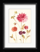 Watercolor Flowers V Framed Print