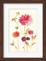Watercolor Flowers V Fine Art Print