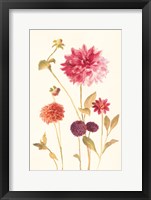Watercolor Flowers V Fine Art Print