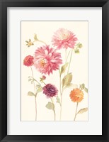 Watercolor Flowers VI Framed Print