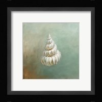 Treasures from the Sea II Fine Art Print
