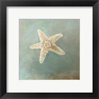 Treasures from the Sea III Fine Art Print