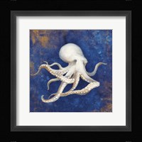 Treasures from the Sea Indigo V Framed Print