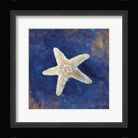 Treasures from the Sea Indigo IV Framed Print