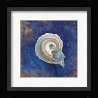 Treasures from the Sea Indigo III Framed Print