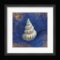 Treasures from the Sea Indigo II Framed Print