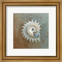 Treasures from the Sea III Fine Art Print