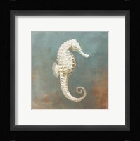 Treasures from the Sea I Framed Print
