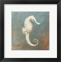 Treasures from the Sea I Framed Print