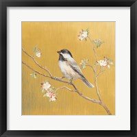Black Capped Chickadee on Gold Framed Print