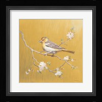 Northern Oriole on Gold Framed Print