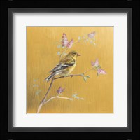 Female Goldfinch on Gold Framed Print