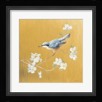 Nuthatch on Gold Framed Print