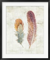 Natural Flora XI Bold Feathers Fine Art Print