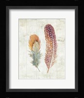 Natural Flora XI Bold Feathers Fine Art Print