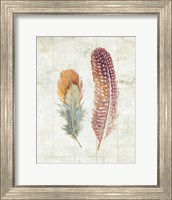 Natural Flora XI Bold Feathers Fine Art Print