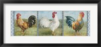 Noble Roosters V Fine Art Print
